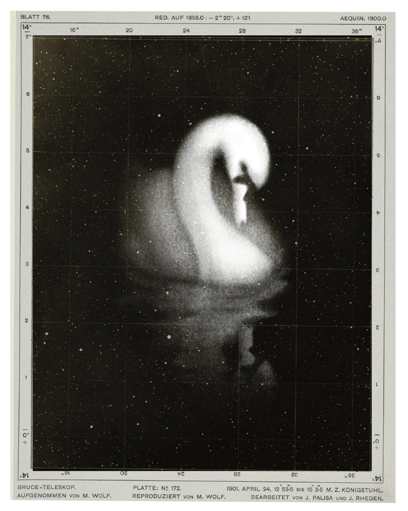 cygnus