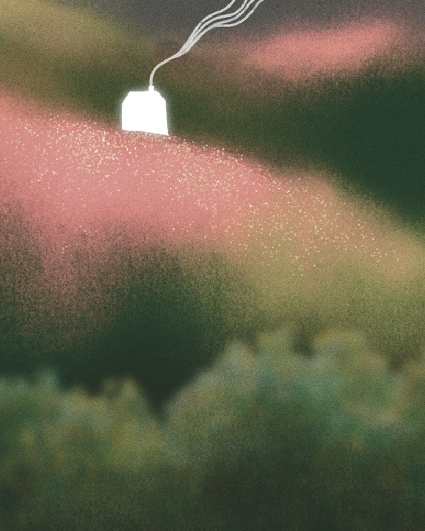 House on the Hill
