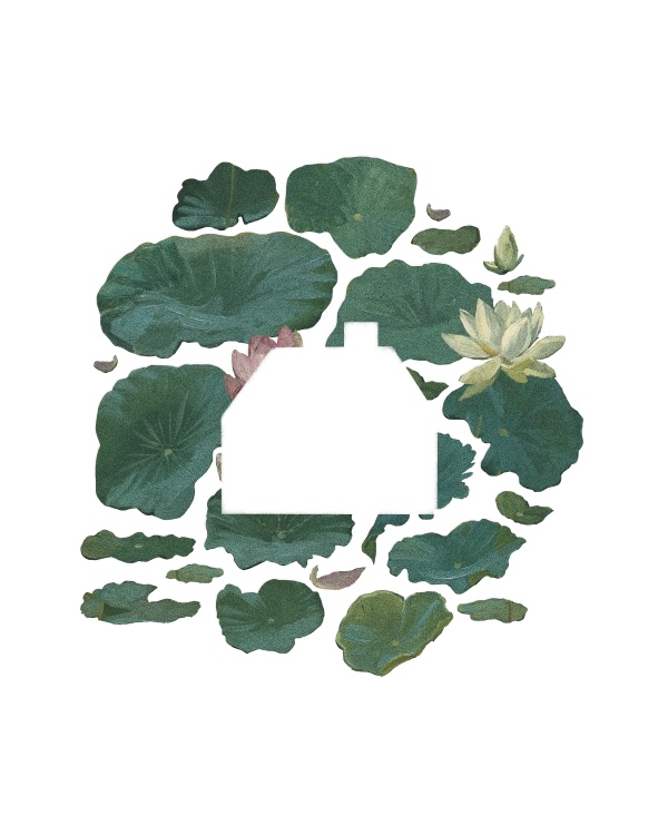 Lilypad House