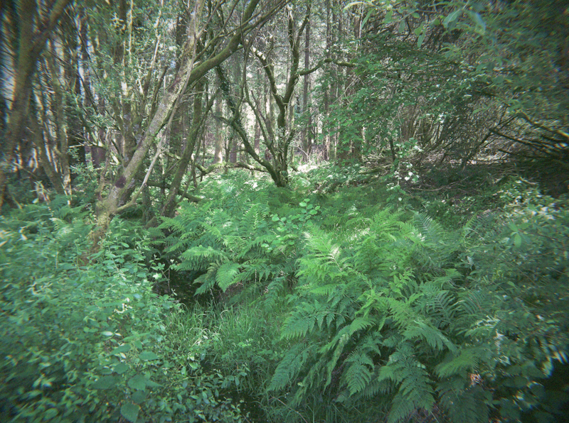 dartmoor photo 1