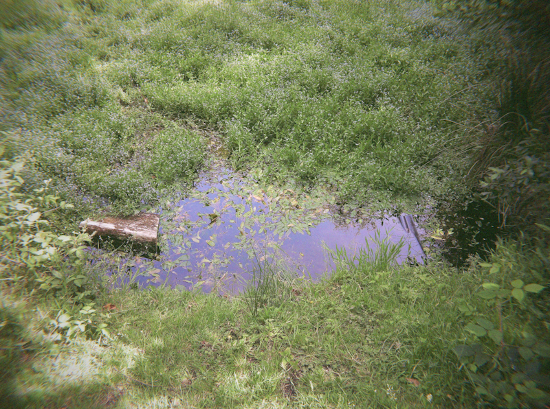 dartmoor photo 2