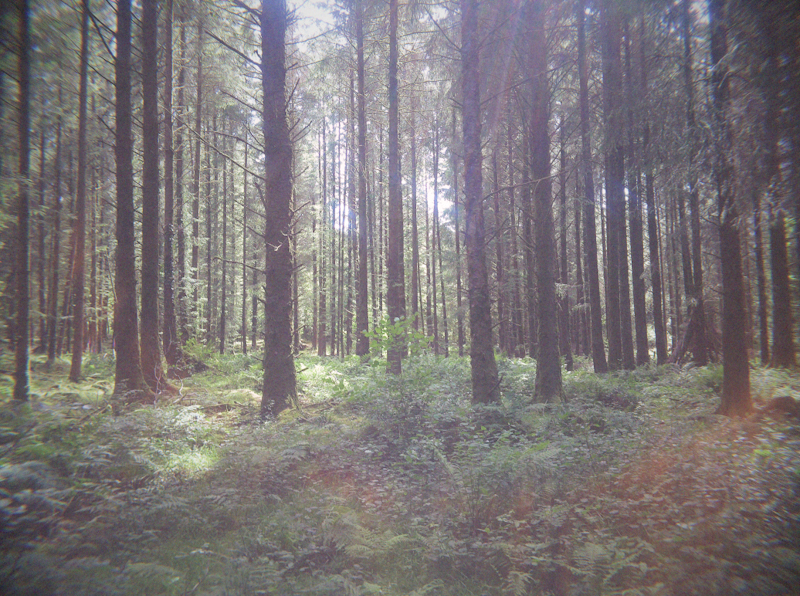 dartmoor photo 3
